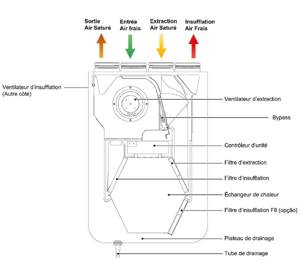 detail2-Ecoya-ETIAvt